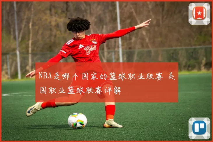 NBA是哪个国家的篮球职业联赛 美国职业篮球联赛详解