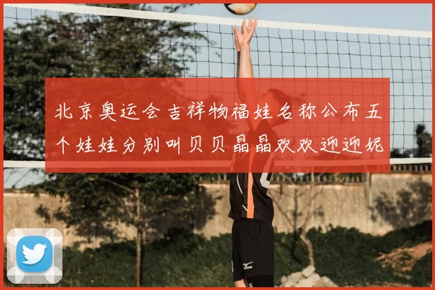 北京奥运会吉祥物福娃名称公布五个娃娃分别叫贝贝晶晶欢欢迎迎妮妮