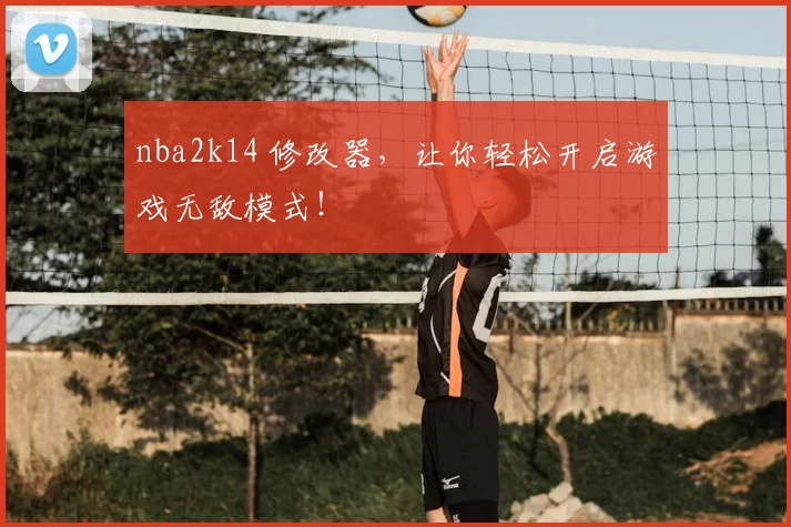 nba2k14 修改器,让你轻松开启游戏无敌模式!