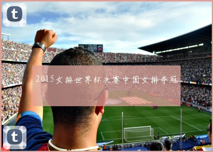 2015女排世界杯决赛中国女排夺冠