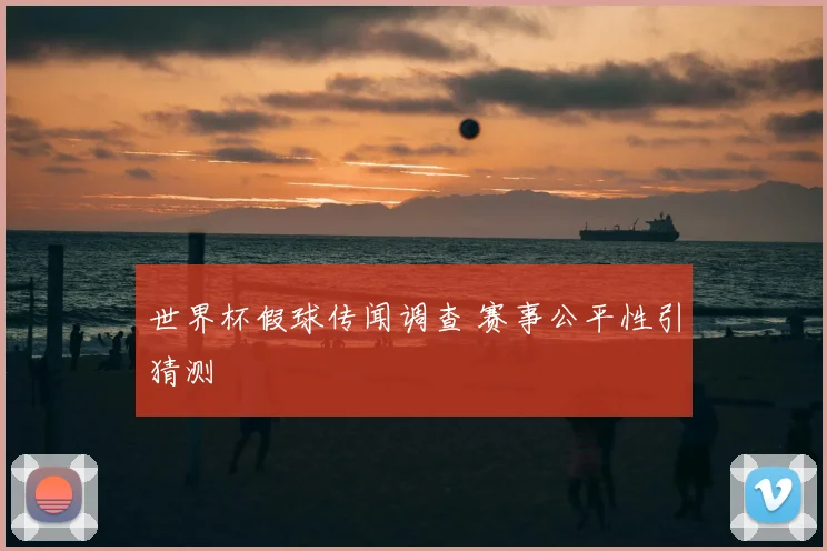 世界杯假球传闻调查 赛事公平性引猜测